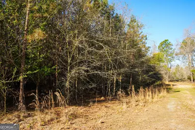 0 Clifton Road, Statesboro, GA 30458 - Photo 13