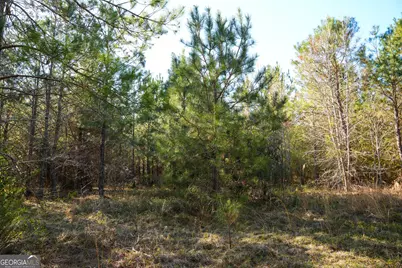 0 Clifton Road, Statesboro, GA 30458 - Photo 21