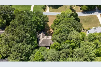 101 Line Creek Way, Sharpsburg, GA 30277 - Photo 45