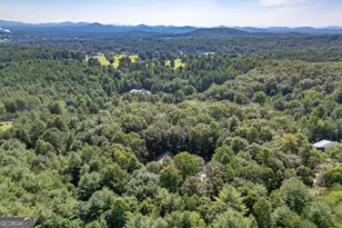43 Baisto Ln, Blairsville, GA 30512 - Photo 25