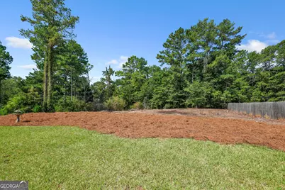 1019 Preserve Lane, Bethlehem, GA 30620 - Photo 53
