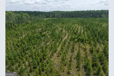 Tract 5 Owens Ferry Rd, White Oak, GA 31568 - Photo 39