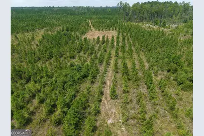 Tract 5 Owens Ferry Rd, White Oak, GA 31568 - Photo 19