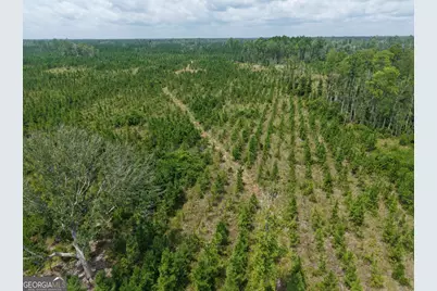 Tract 5 Owens Ferry Rd, White Oak, GA 31568 - Photo 3