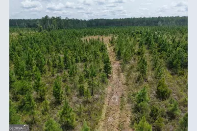 Tract 5 Owens Ferry Rd, White Oak, GA 31568 - Photo 33