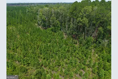 Tract 5 Owens Ferry Rd, White Oak, GA 31568 - Photo 29