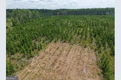 Tract 5 Owens Ferry Rd, White Oak, GA 31568 - Photo 37