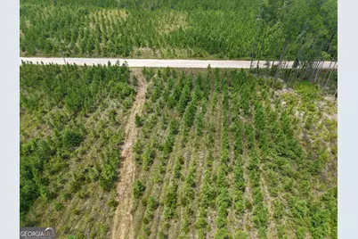 Tract 5 Owens Ferry Rd, White Oak, GA 31568 - Photo 25