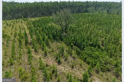 Tract 5 Owens Ferry Rd, White Oak, GA 31568 - Photo 11