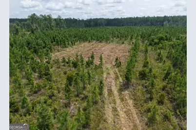 Tract 5 Owens Ferry Rd, White Oak, GA 31568 - Photo 35
