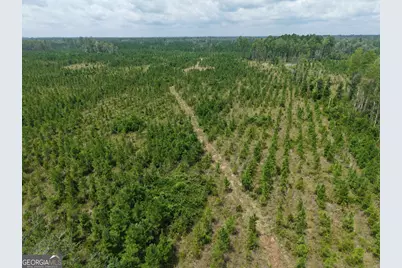 Tract 5 Owens Ferry Rd, White Oak, GA 31568 - Photo 7