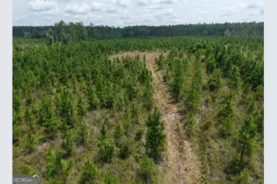 Tract 5 Owens Ferry Rd, White Oak, GA 31568 - Photo 27