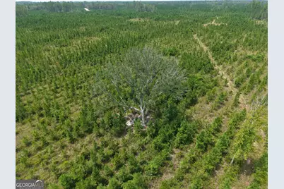 Tract 5 Owens Ferry Rd, White Oak, GA 31568 - Photo 5
