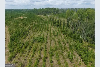 Tract 5 Owens Ferry Rd, White Oak, GA 31568 - Photo 15