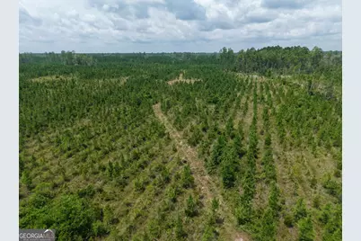 Tract 5 Owens Ferry Rd, White Oak, GA 31568 - Photo 21