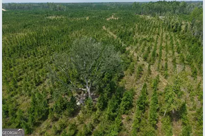 Tract 5 Owens Ferry Rd, White Oak, GA 31568 - Photo 1