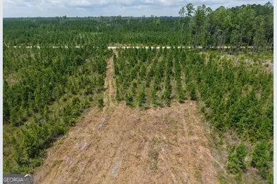 Tract 5 Owens Ferry Rd, White Oak, GA 31568 - Photo 31