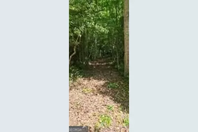 5 Goldmine Road, Morganton, GA 30560 - Photo 5