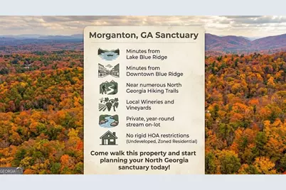 5 Goldmine Road, Morganton, GA 30560 - Photo 3