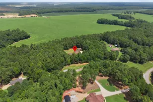 106 Big Buck Ct, Jackson, GA 30233 - Photo 101