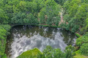 354 Long Pond Rd, Rincon, GA 31326 - Photo 61