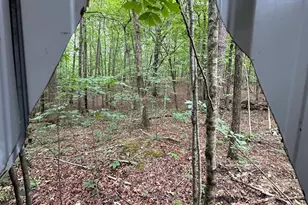 61 Stonecrest Ct, Rockmart, GA 30153 - Photo 59