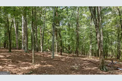 1160 Middlebrooks Road, Watkinsville, GA 30677 - Photo 39
