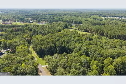 180 Lawshe Farm Drive, Senoia, GA 30276 - Photo 71