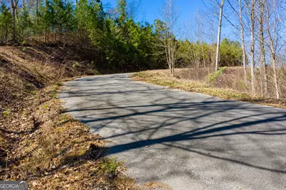 278 Carters Overlook Drive #28, Ranger, GA 30734 - Photo 7