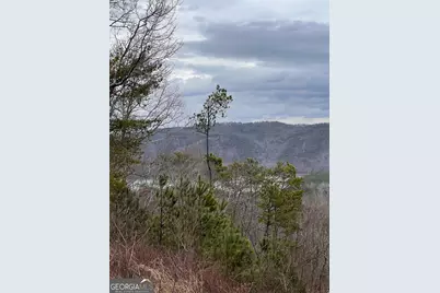 278 Carters Overlook Drive #28, Ranger, GA 30734 - Photo 15