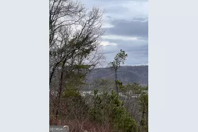278 Carters Overlook Drive #28, Ranger, GA 30734 - Photo 13