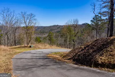 278 Carters Overlook Drive #28, Ranger, GA 30734 - Photo 9