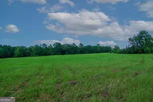 616 Twin Lakes Rd, Waverly Hall, GA 31831 - Photo 53