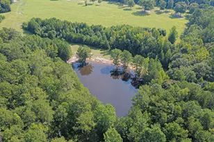 616 Twin Lakes Rd, Waverly Hall, GA 31831 - Photo 73
