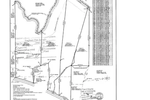 0 W Hwy 166, Bowdon, GA 30108 - Photo 1