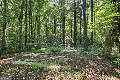 342 Stonington Drive, Mount Airy, GA 30563 - Photo 57