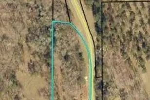 0 Needleleaf Dr, Barnesville, GA 30204 - Photo 1