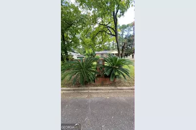 917 Odom Avenue, Albany, GA 31701 - Photo 43
