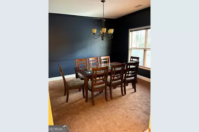 16 Plum Blossom Lane, Hampton, GA 30228 - Photo 23