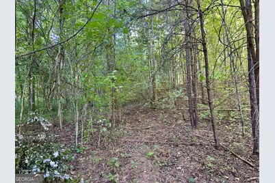 0 Piedmont Mountain Road, Clarkesville, GA 30523 - Photo 11