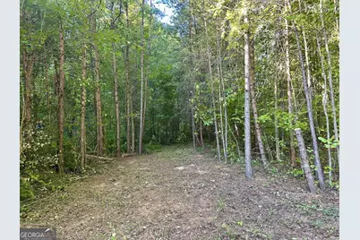 0 Piedmont Mountain Road, Clarkesville, GA 30523 - Photo 5