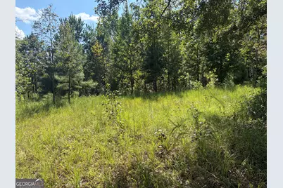 7 Sunhill Grange Road, Davisboro, GA 31018 - Photo 11