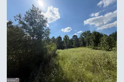 7 Sunhill Grange Road, Davisboro, GA 31018 - Photo 13