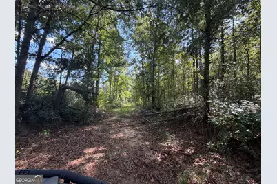 7 Sunhill Grange Road, Davisboro, GA 31018 - Photo 25