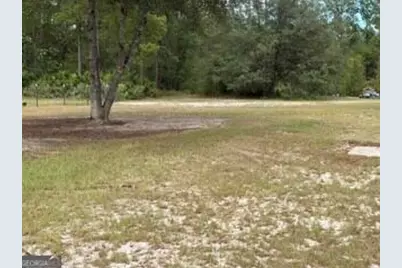 538 Coffee Club Rd, Hortense, GA 31543 - Photo 5