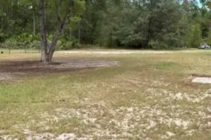 538 Coffee Club Rd, Hortense, GA 31543 - Photo 5