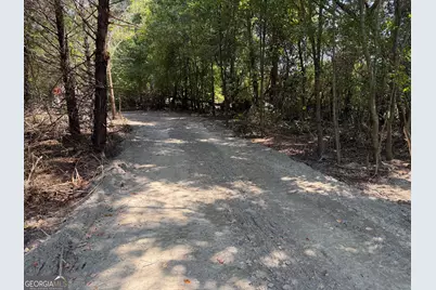 0 Brooks Road, Brooks, GA 30205 - Photo 3