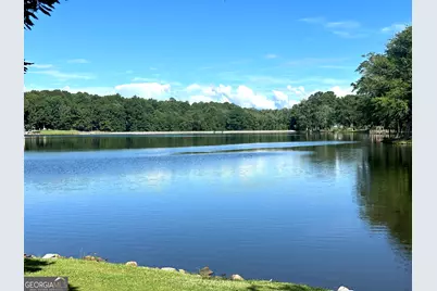90 Springview Place, Newnan, GA 30265 - Photo 97