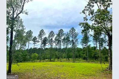 592 Arnold Caldwell Road, Carlton, GA 30627 - Photo 3