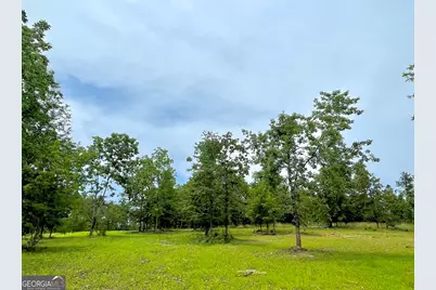 592 Arnold Caldwell Road, Carlton, GA 30627 - Photo 37